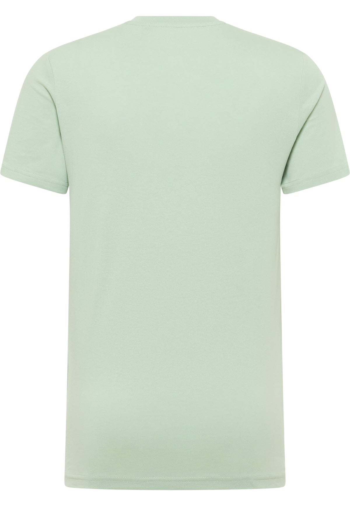 Tricou Austin verde deschis, spate, fără imprimeu