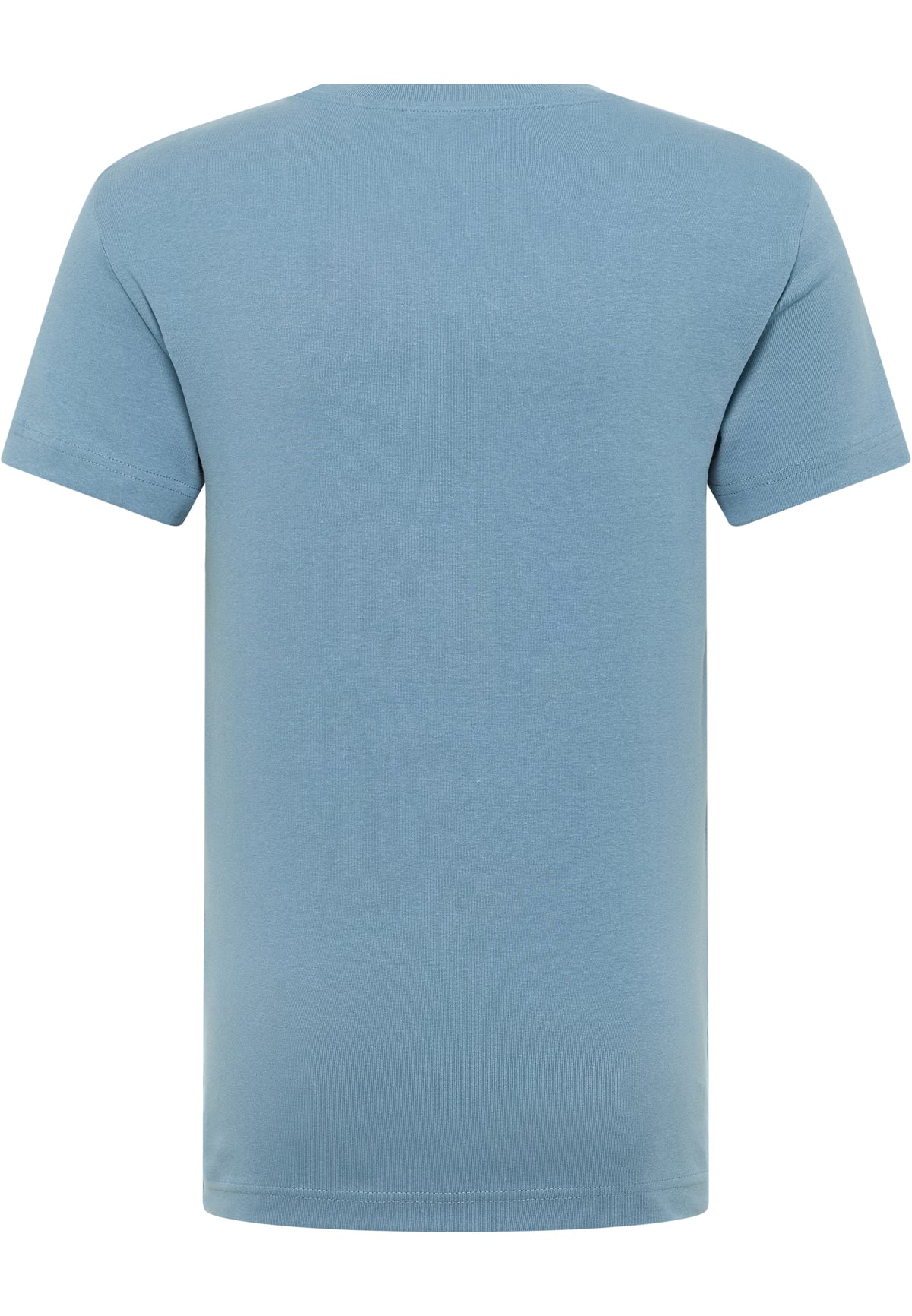 Tricou Allen albastru deschis, spate, așezat plat