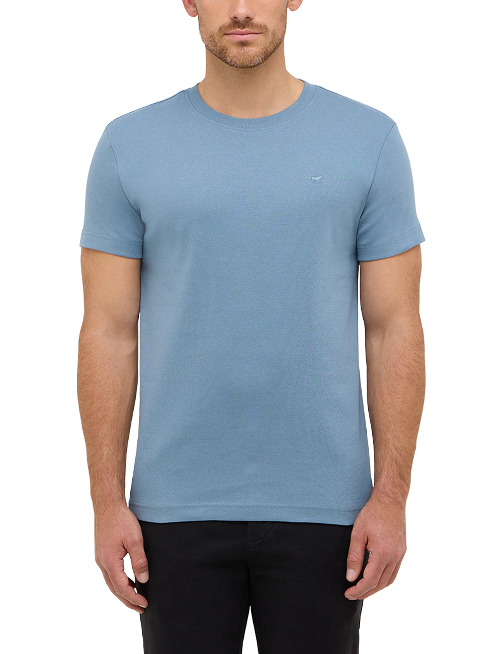 Tricou Allen albastru deschis, față, purtat pe model