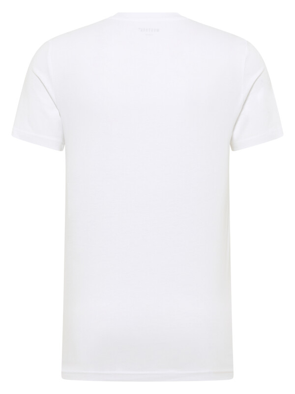 Style Austin 1016494
