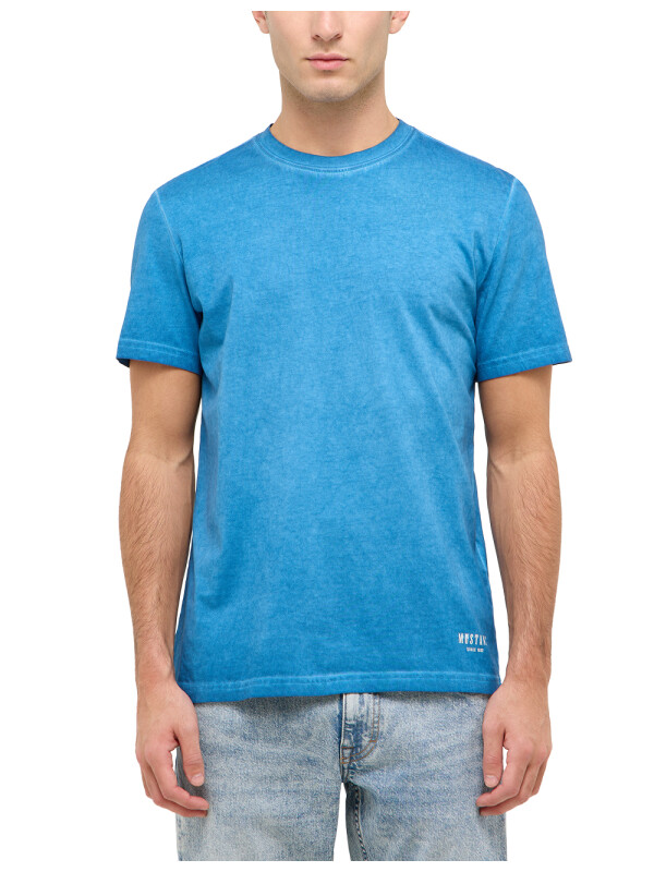Style Austin 1016487