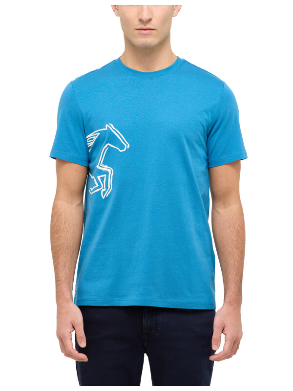 Style Austin 1016493
