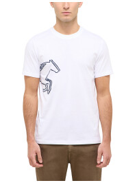 Style Austin 1016493
