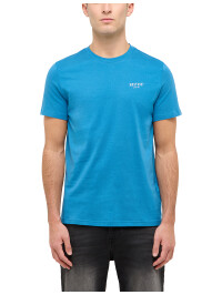 Style Austin 1016481
