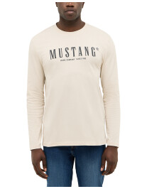 Style Asheville 1016873